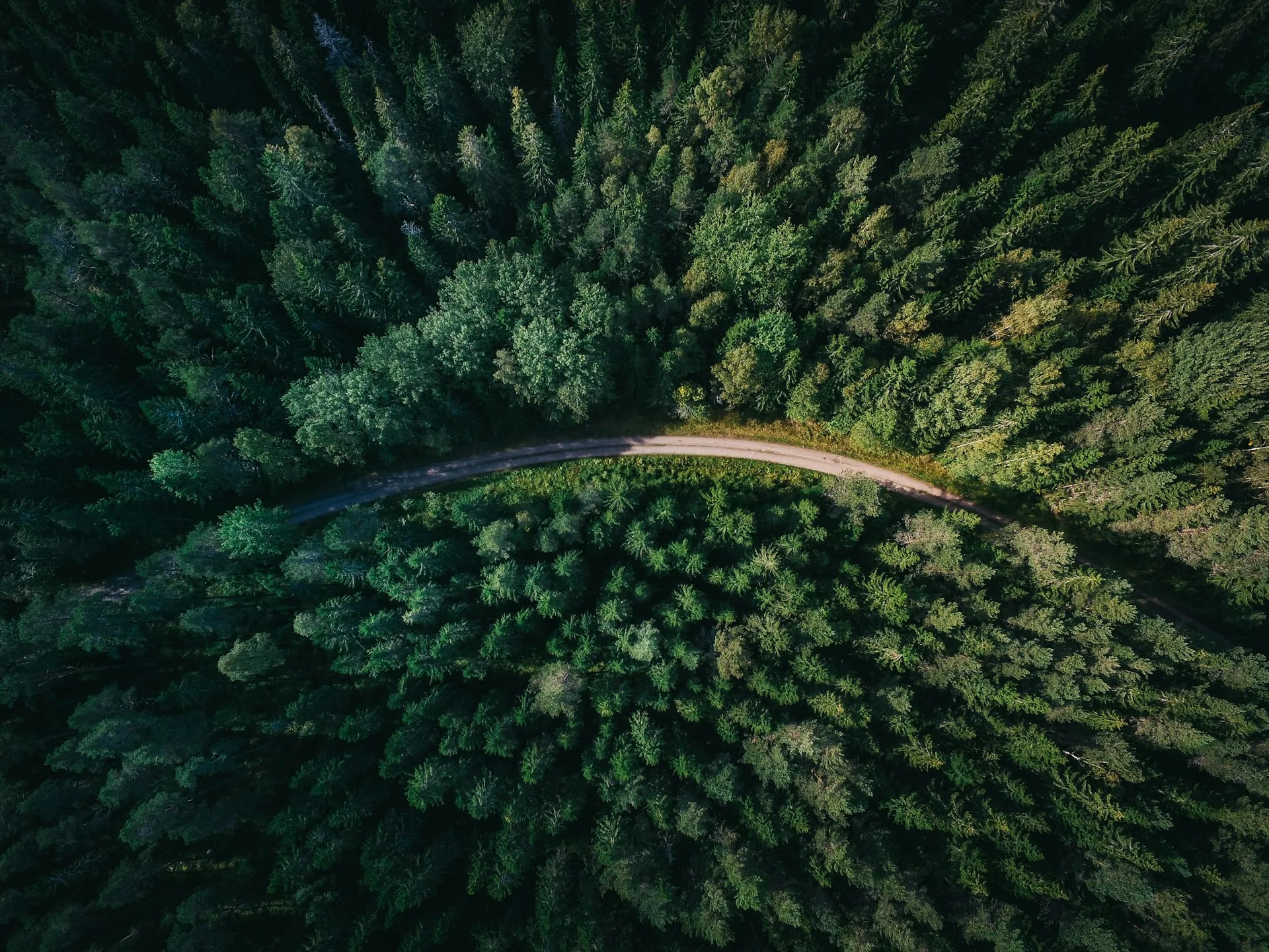 Kita Mitbachaue - Gemeinschaft in der Natur