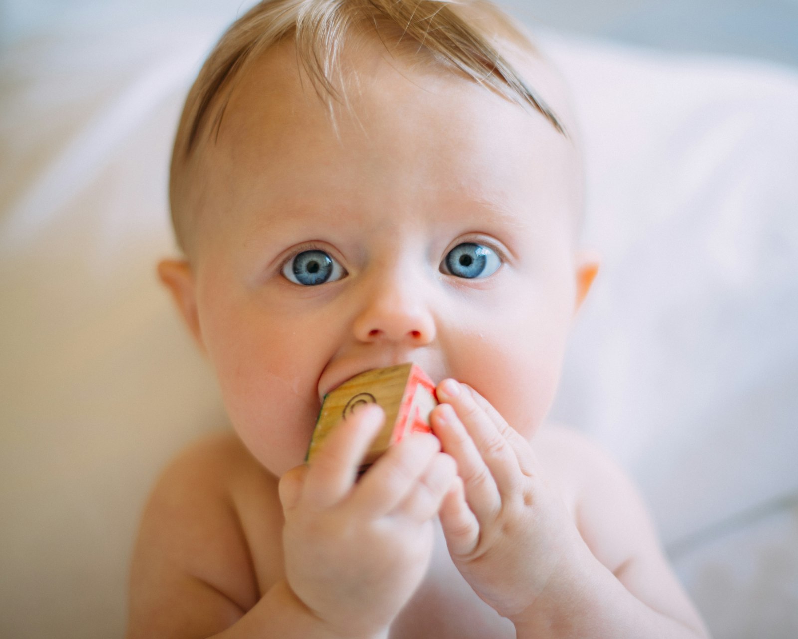 Baby - Werden Sie Mitglied beim Kinderschutzbund Euskirchen